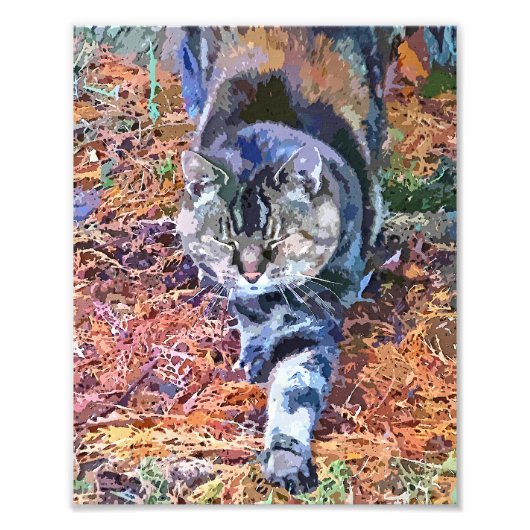 KATten Foto Afdruk (Voorkant)