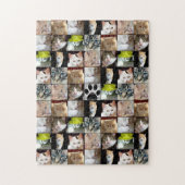 Katten Foto Collage Legpuzzel (Verticaal)