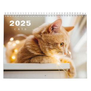 Katten foto moderne 2025 kalender