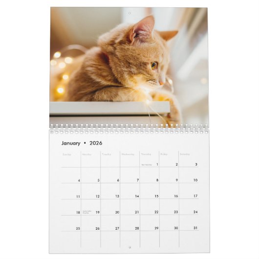 Katten foto moderne 2025 kalender (Jan 2026)