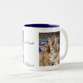 Katten Foto patroon, Mok (Voorkant rechts)