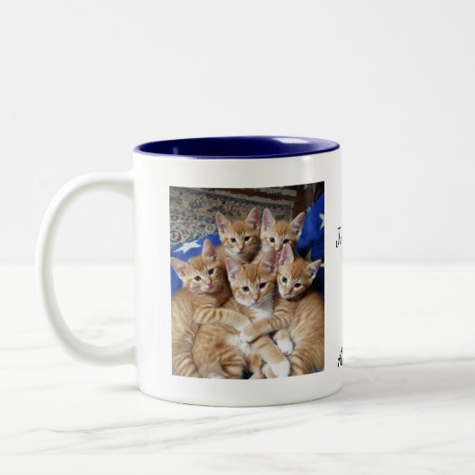 Katten Foto patroon, Mok (Links)