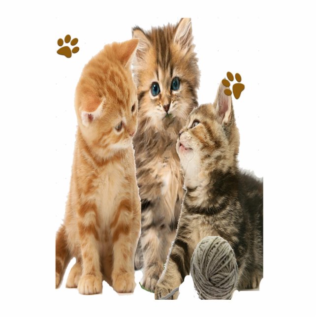 Katten Fotobeeldje Sleutelhanger (Voorkant)