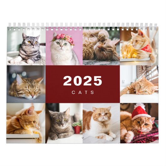 Katten Fotocollage Moderne 2025 Kalender (Hoes)