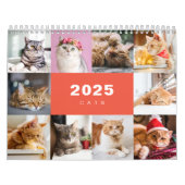 Katten Fotocollage Moderne 2025 Kalender (Hoes)