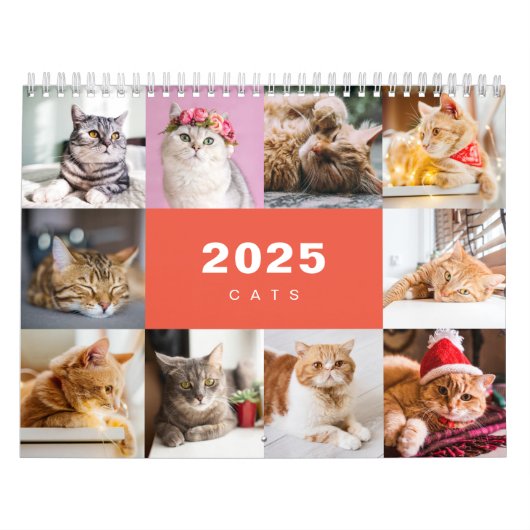 Katten Fotocollage Moderne 2025 Kalender (Hoes)