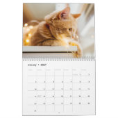 Katten Fotocollage Moderne 2025 Kalender (Jan 2027)