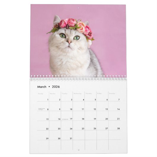 Katten Fotocollage Moderne 2025 Kalender (Mar 2026)