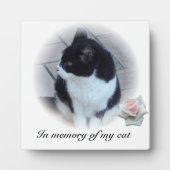 Katten Fotoplaat (Voorkant)