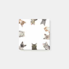 Katten | Funny Cat Lover Post-it® Notes