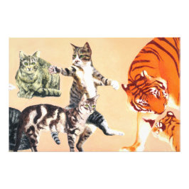Katten gaan spelen foto afdruk