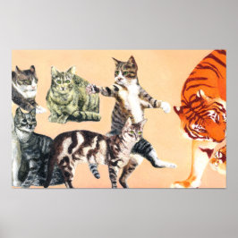 Katten gaan spelen poster