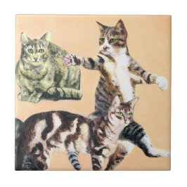 Katten gaan spelen tegeltje