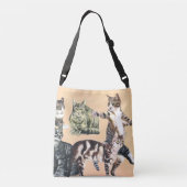 Katten gaan tas spelen (Achterkant)