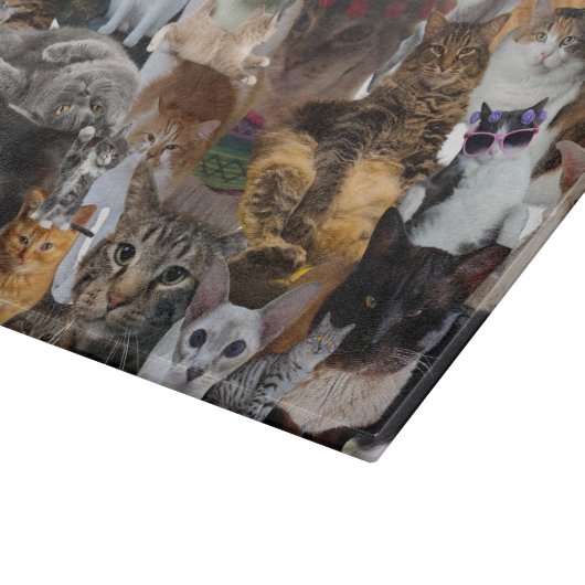 Katten Galore, groot glas Snijplank (Hoek)