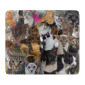 Katten Galore, klein glas Snijplank (Voorkant)