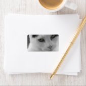 Katten Gedachten Etiket (Insitu)