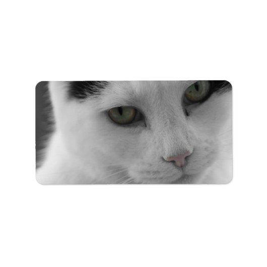 Katten Gedachten Etiket (Voorkant)