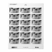 Katten Gedachten Etiket (Full Sheet)