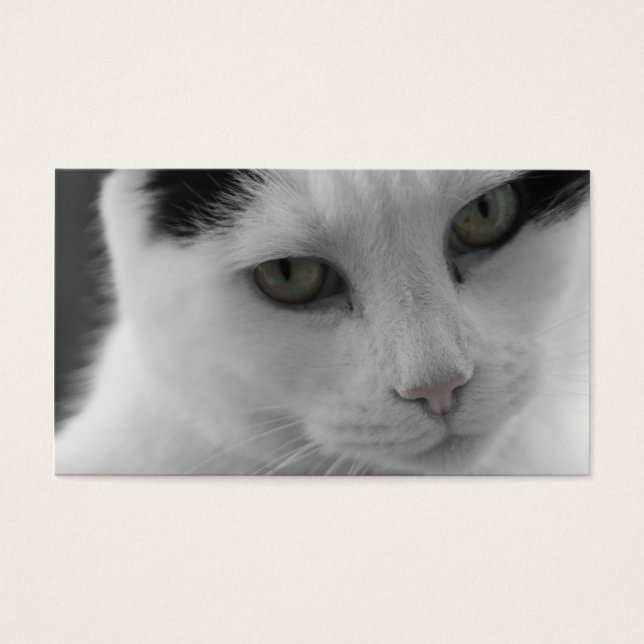 Katten Gedachten Visitekaartjes (Voorkant)