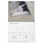 Katten, geglazuurde katten kalender (Feb 2027)