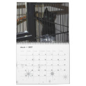 Katten, geglazuurde katten kalender (Mar 2027)
