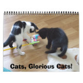 Katten, geglazuurde katten kalender (Hoes)