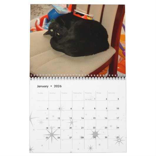 Katten, geglazuurde katten kalender (Jan 2026)