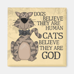 Katten geloven magneet