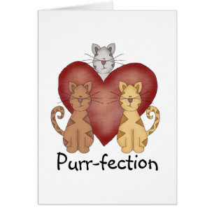 Katten Gesponnen-fectie Tshirts en Cadeaus