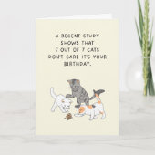 Katten geven niet om humoristische Kaart (Voorkant)