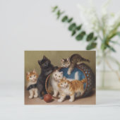 katten geven Sophie Sperlich de rode bal Briefkaart (Staand voorkant)