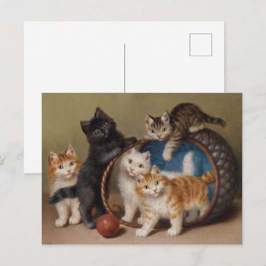  katten geven Sophie Sperlich de rode bal Briefkaart (Voorkant / Achterkant)