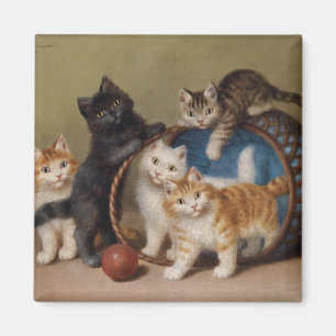 katten geven Sophie Sperlich de rode bal Magneet
