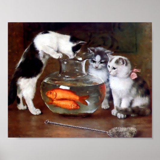 Katten Gevist in Goldfish bowl Poster (Voorkant)