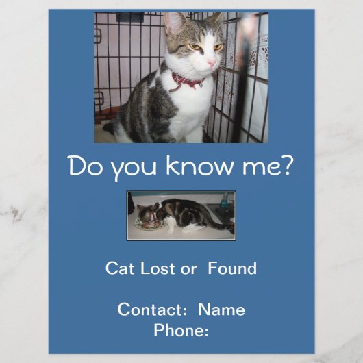 Katten gezocht of gevonden Brievenbus Flyer (Voorkant)
