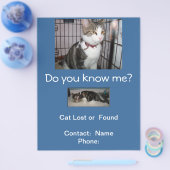 Katten gezocht of gevonden Brievenbus Flyer (Enkel)