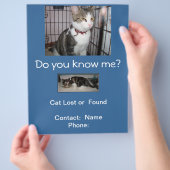 Katten gezocht of gevonden Brievenbus Flyer (Hand)