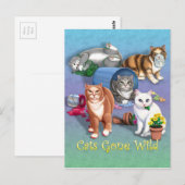 Katten Gone Wild Briefkaart (Voorkant / Achterkant)