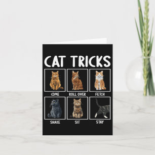 Katten Grappige Kat Tricks Kaart
