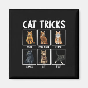 Katten Grappige Kat Tricks Magneet