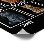Katten Grappige Kat Tricks Poster (Hoek)