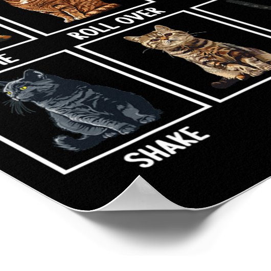 Katten Grappige Kat Tricks Poster (Hoek)