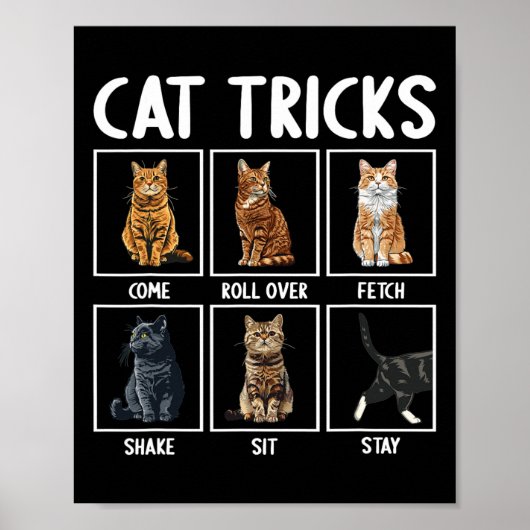 Katten Grappige Kat Tricks Poster (Voorkant)
