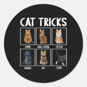 Katten Grappige Kat Tricks Ronde Sticker