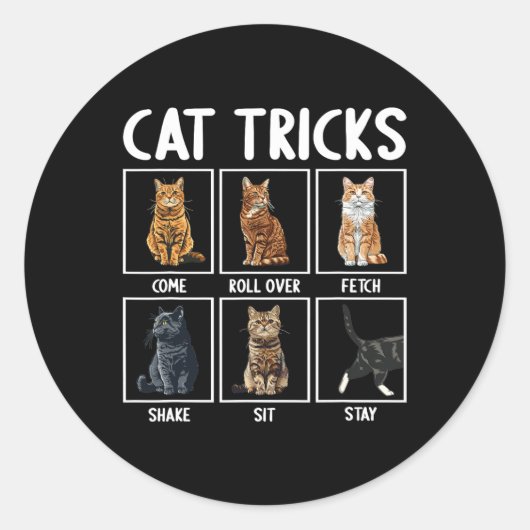 Katten Grappige Kat Tricks Ronde Sticker (Voorkant)
