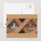 Katten Grijze tablet achter briefkaart van het omh (Voorkant / Achterkant)