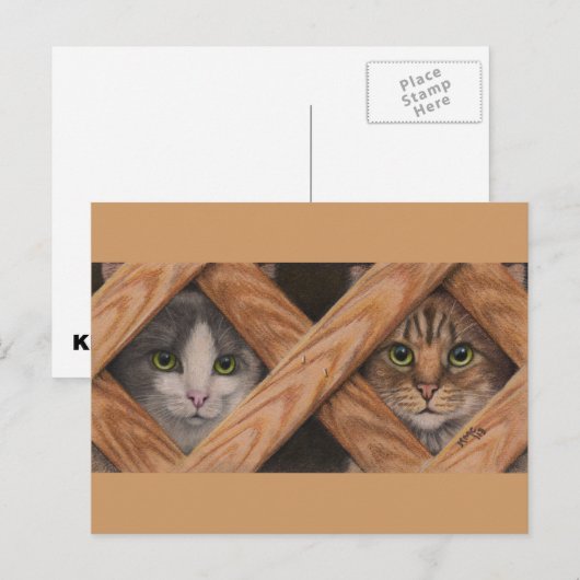 Katten Grijze tablet achter briefkaart van het omh (Voorkant / Achterkant)