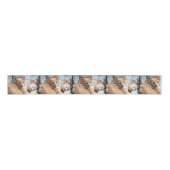 Katten Grosgrain Lint (Voorkant)
