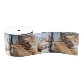 Katten Grosgrain Lint (Spoel)